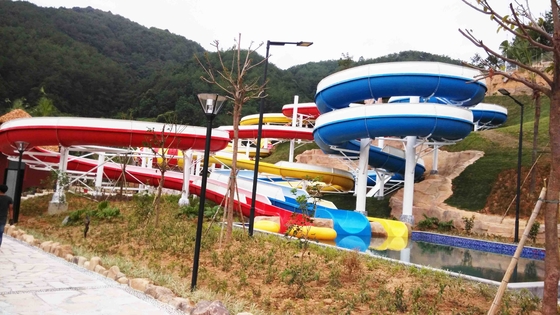 品質  Funny FPR Water Slide Games Double Open And Close Cool Water Slides for Water Park 工場
