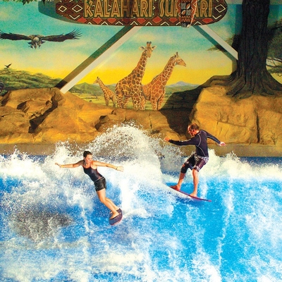 Flowrider水乗車を楽しむこと、サーフの魅力的な波のスキッド板/水公園の娯楽